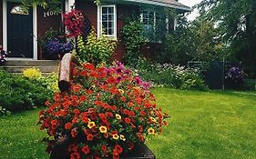Deer Ridge B&B